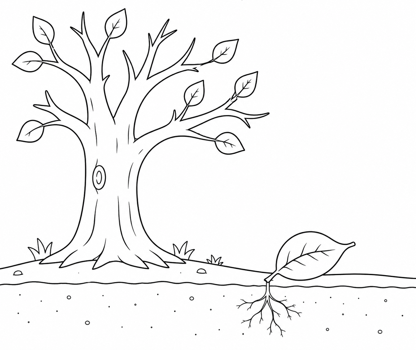 A simple line drawing of a leaf, tree, and earth for colouring