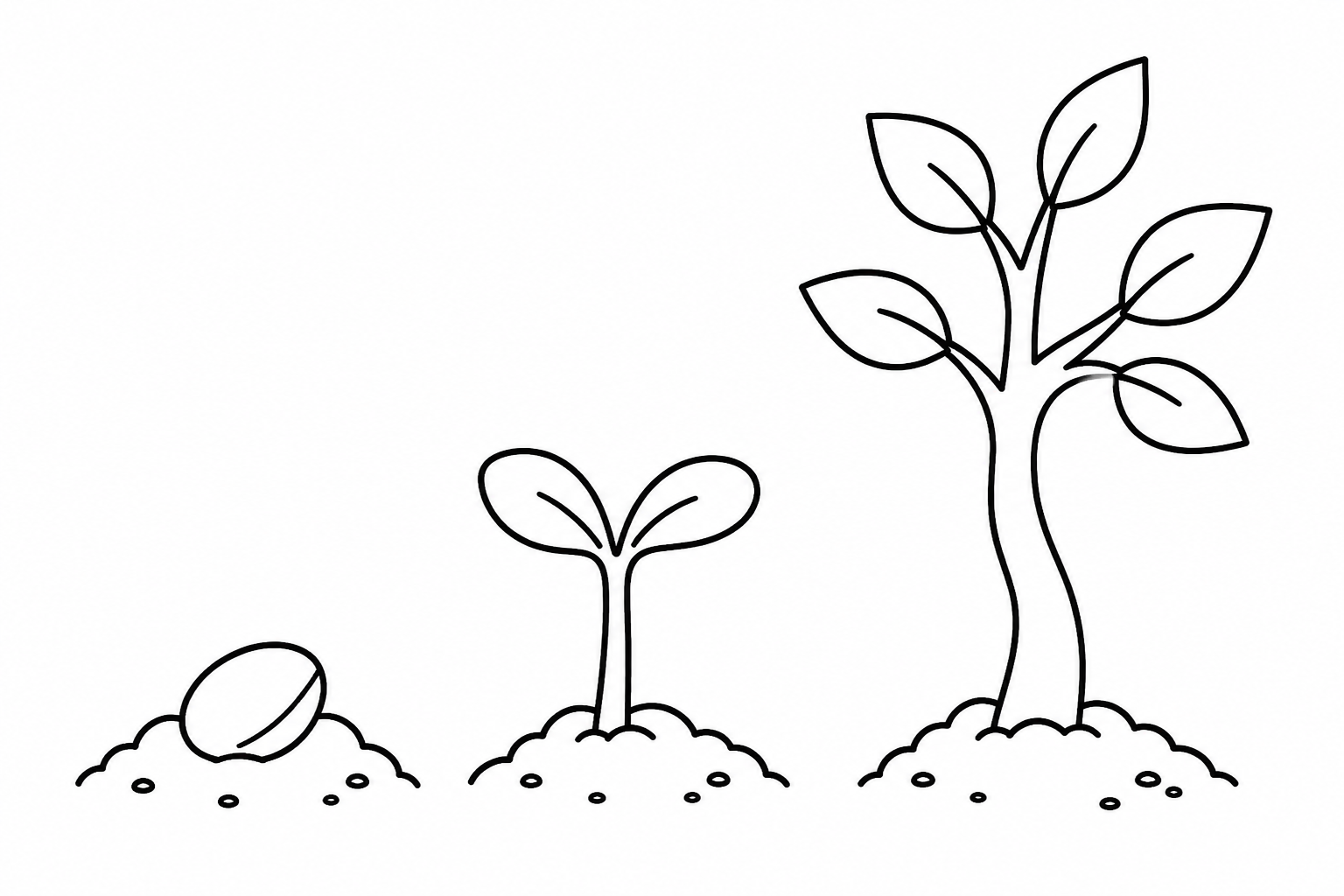 A simple line drawing of a seed, sprout, and tree for colouring